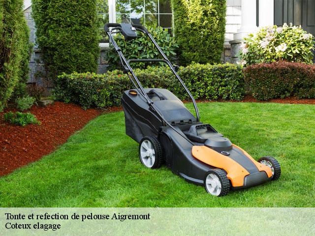 Tonte et refection de pelouse  aigremont-78240 Coteux elagage