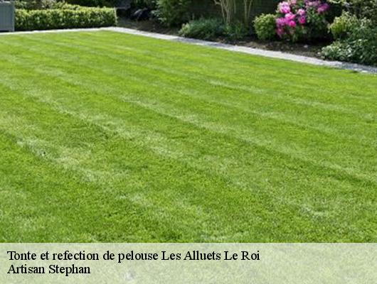 Tonte et refection de pelouse  les-alluets-le-roi-78580 Artisan Stephan