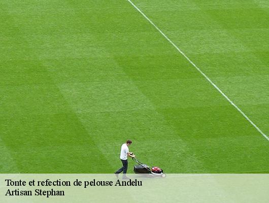 Tonte et refection de pelouse  78770