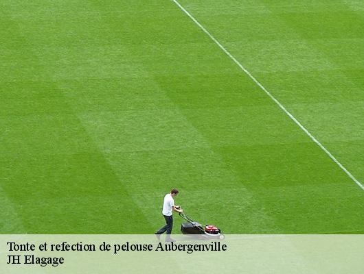 Tonte et refection de pelouse  78410