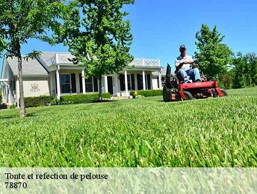 Tonte et refection de pelouse  78870