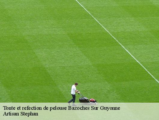 Tonte et refection de pelouse  78490