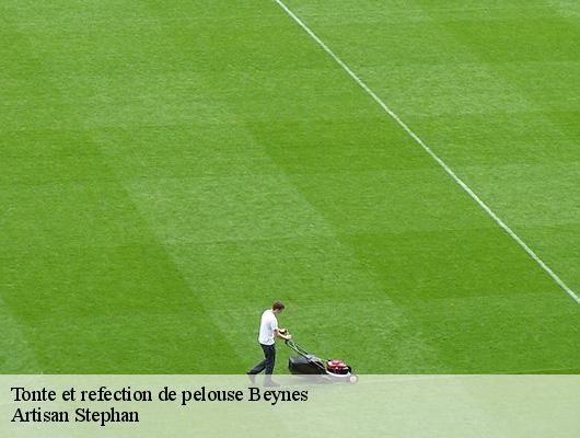 Tonte et refection de pelouse  78650