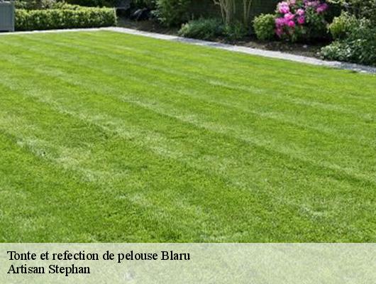 Tonte et refection de pelouse  blaru-78270 Artisan Stephan