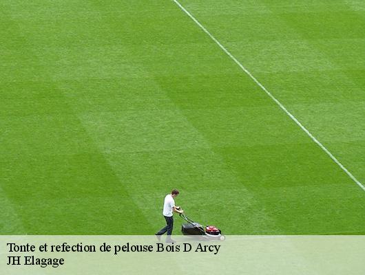 Tonte et refection de pelouse  78390