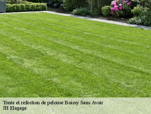 Tonte et refection de pelouse  boissy-sans-avoir-78490 JH Elagage