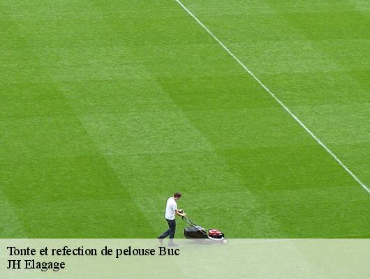 Tonte et refection de pelouse  78530