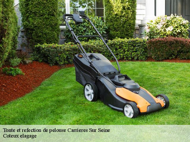 Tonte et refection de pelouse  carrieres-sur-seine-78420 Coteux elagage