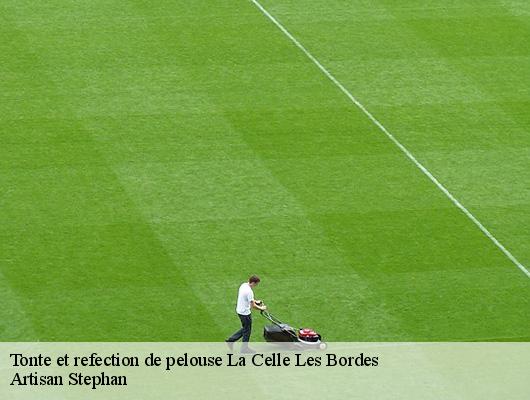 Tonte et refection de pelouse  78720