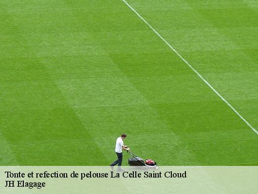 Tonte et refection de pelouse  78170