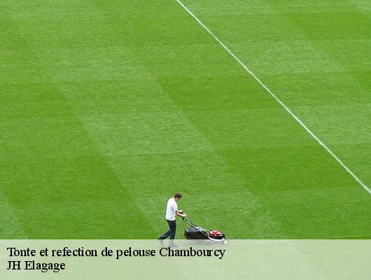 Tonte et refection de pelouse  78240