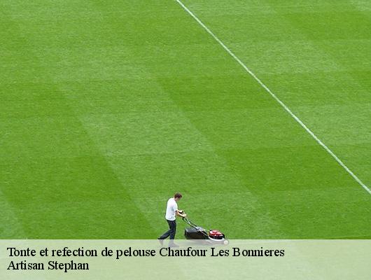 Tonte et refection de pelouse  78270