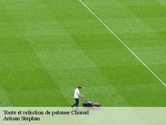 Tonte et refection de pelouse 78460