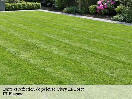 Tonte et refection de pelouse  civry-la-foret-78910 JH Elagage