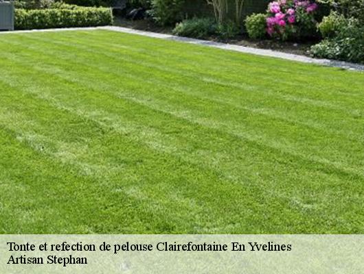 Tonte et refection de pelouse  clairefontaine-en-yvelines-78120 Artisan Stephan