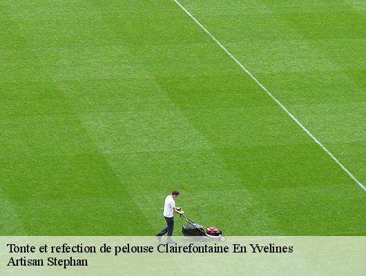 Tonte et refection de pelouse  78120