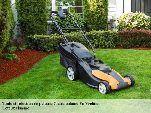 Tonte et refection de pelouse  clairefontaine-en-yvelines-78120 Coteux elagage