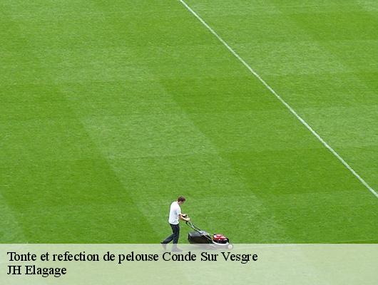 Tonte et refection de pelouse  78113