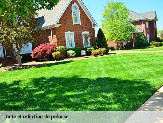 Tonte et refection de pelouse  78660