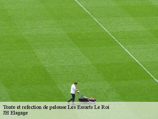 Tonte et refection de pelouse  78690