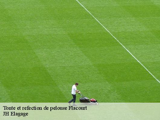 Tonte et refection de pelouse  78200