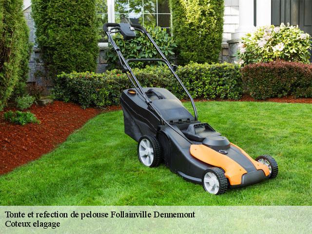 Tonte et refection de pelouse  follainville-dennemont-78520 Coteux elagage