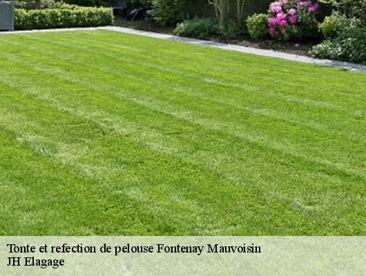 Tonte et refection de pelouse  fontenay-mauvoisin-78200 JH Elagage