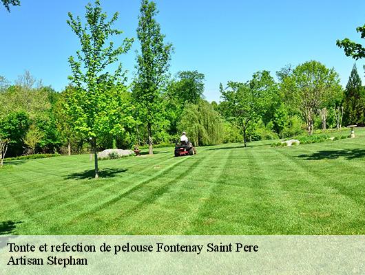 Tonte et refection de pelouse