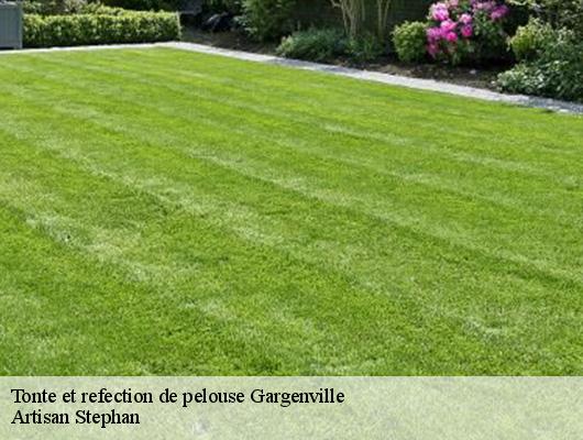 Tonte et refection de pelouse  gargenville-78440 Artisan Stephan