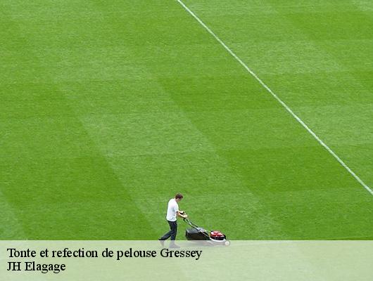 Tonte et refection de pelouse  78550
