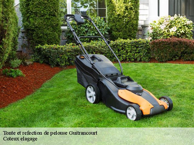 Tonte et refection de pelouse  guitrancourt-78440 Coteux elagage