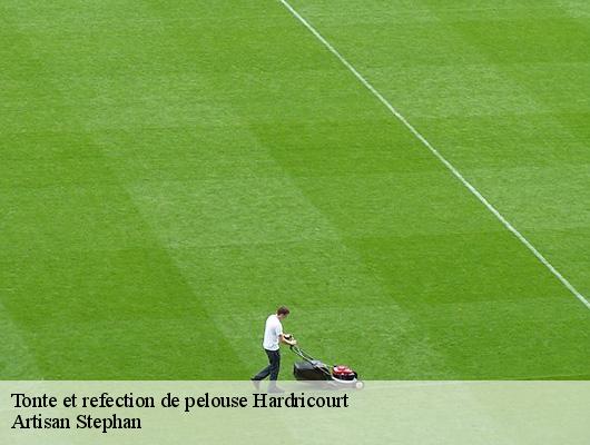 Tonte et refection de pelouse  78250