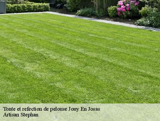 Tonte et refection de pelouse jouy-en-josas-78350 Artisan Stephan
