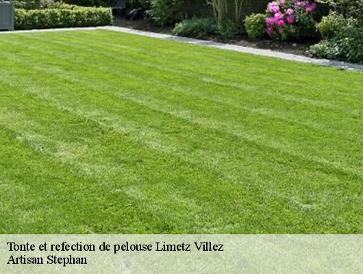 Tonte et refection de pelouse  limetz-villez-78270 Artisan Stephan