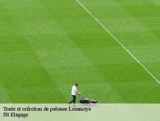 Tonte et refection de pelouse  78270