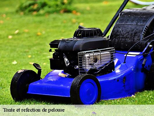 Tonte et refection de pelouse