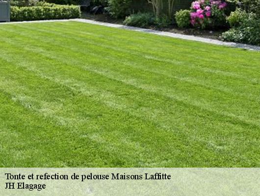 Tonte et refection de pelouse  maisons-laffitte-78600 JH Elagage