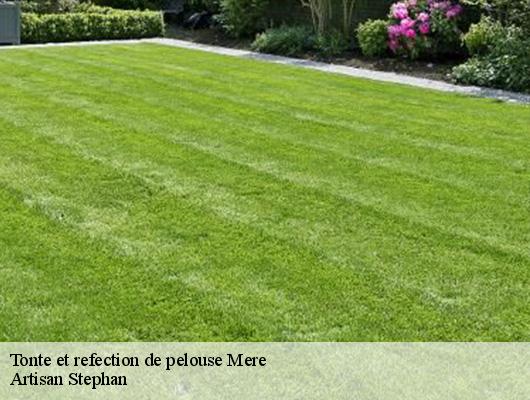 Tonte et refection de pelouse  mere-78490 Artisan Stephan