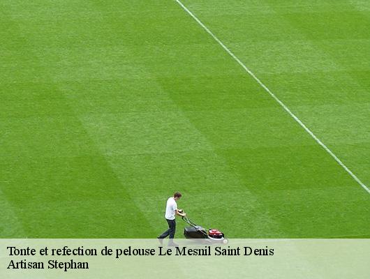 Tonte et refection de pelouse  78320