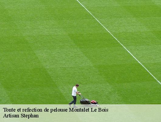 Tonte et refection de pelouse  78440