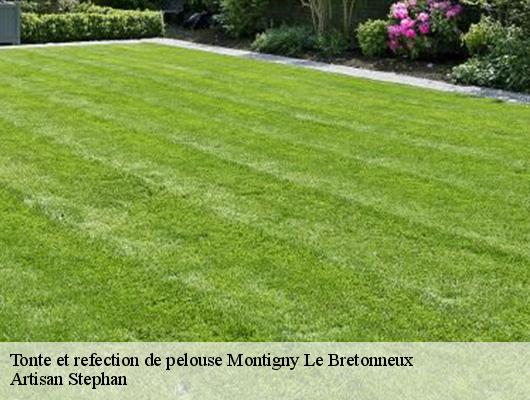 Tonte et refection de pelouse  montigny-le-bretonneux-78180 Artisan Stephan