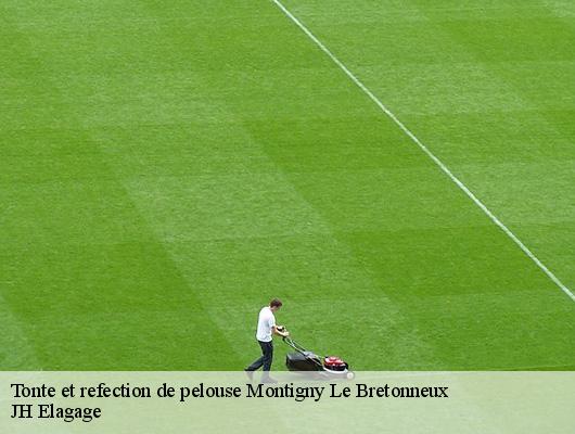 Tonte et refection de pelouse  78180