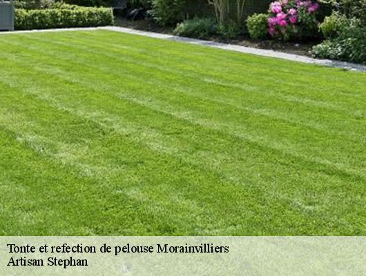 Tonte et refection de pelouse  morainvilliers-78630 Artisan Stephan