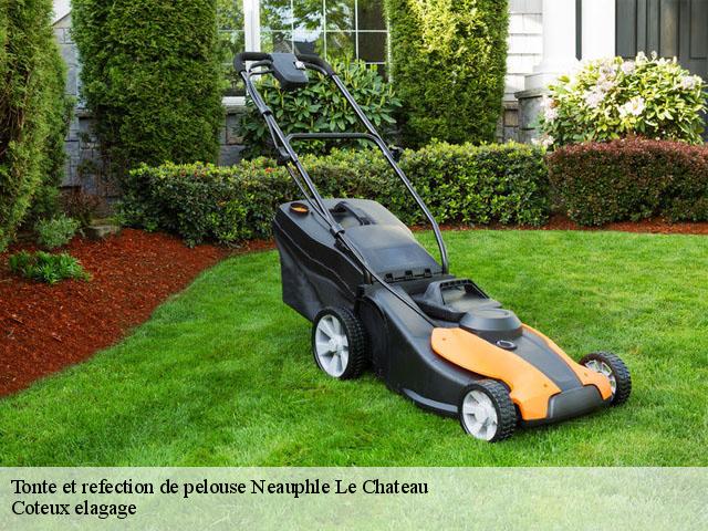 Tonte et refection de pelouse  neauphle-le-chateau-78640 Coteux elagage
