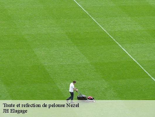 Tonte et refection de pelouse  78410