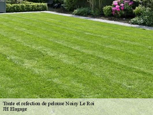 Tonte et refection de pelouse  noisy-le-roi-78590 JH Elagage