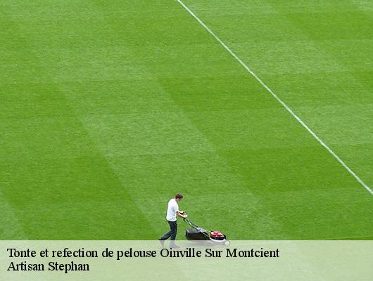 Tonte et refection de pelouse  78250