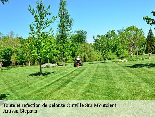 Tonte et refection de pelouse