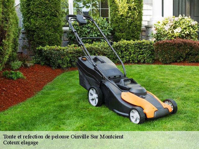Tonte et refection de pelouse  oinville-sur-montcient-78250 Coteux elagage