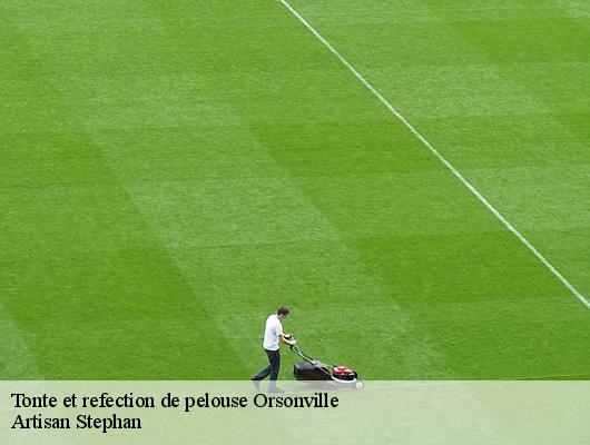 Tonte et refection de pelouse  78660